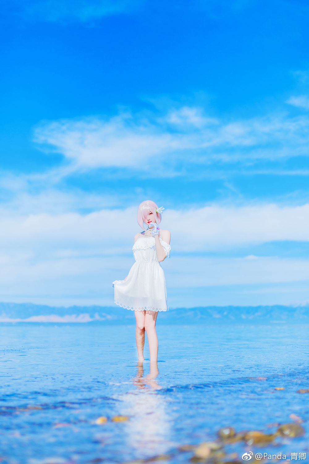 FGO Mash Kyrielight Cosplay  4