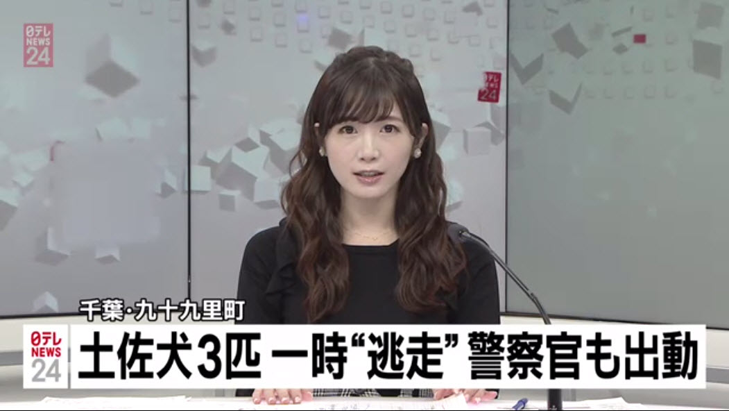 榎本麗美 12/03 b